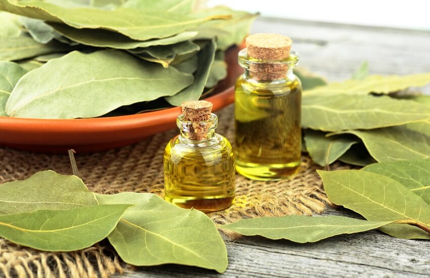 فواید و خواص سوزاندن برگ بو در خانه و نحوه انجام آن