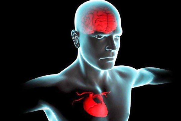 بیماری قلبی در عملکرد مغز اختلال ایجاد می کند