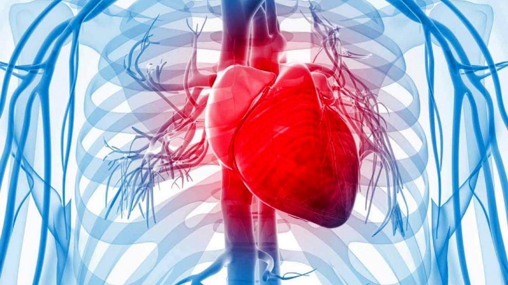سابقه ناباروری با افزایش خطر نارسایی قلبی مرتبط است