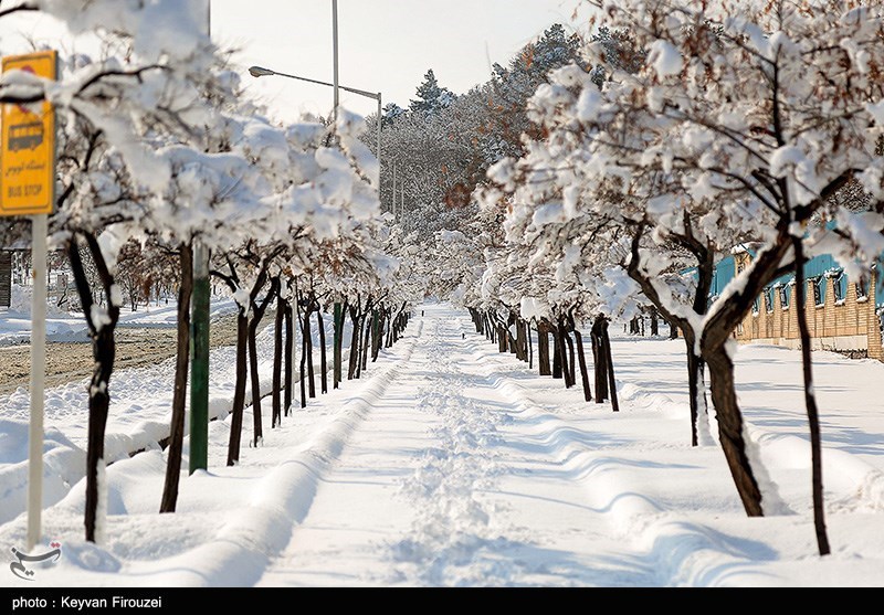 توصیه‌های اورژانس تهران برای پیاده‌روی و رانندگی در روزهای برفی