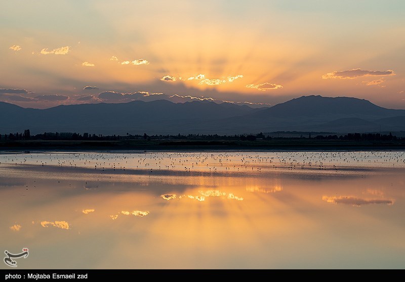 افزایش ۱۰ درصدی وسعت آب “دریاچه ارومیه” نسبت به سال گذشته + عکس