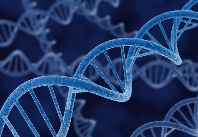 واکنش پزشکی قانونی به چرایی تاخیر در اعلام آزمایشات “DNA”