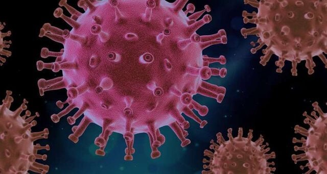 آخرین اطلاعات مهم در مورد گونه‌های جدید کووید۱۹/ گونه جهش‌ یافته ویروس کووید که به «فلرت» چه ویژگی هایی دارد؟