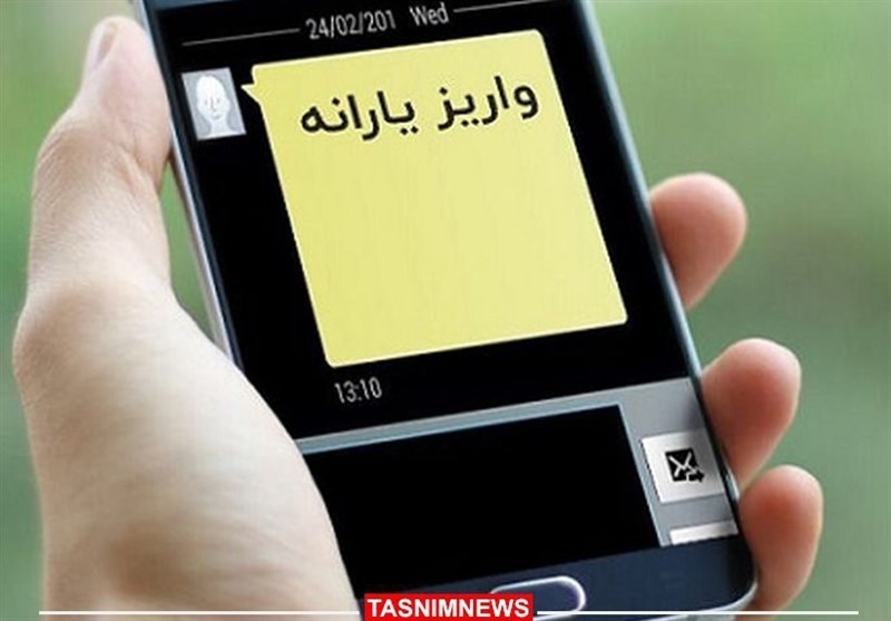 مسافرت خارجی، دلیل اصلی حذف یارانه ۴۳۰هزار نفر