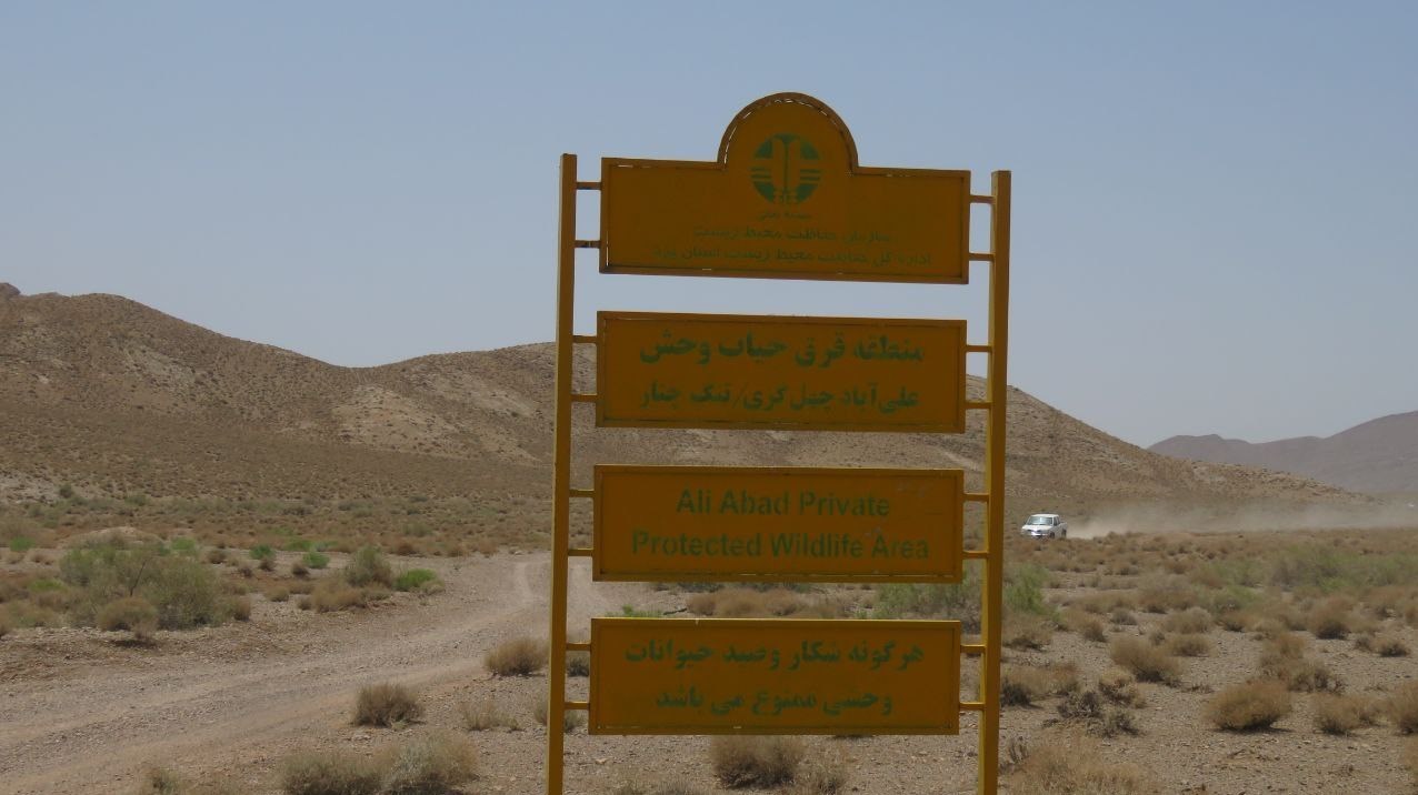 شکار قانونی کمتر از ۶ درصد؛ تضمین حفظ حیات وحش در قرق‌ها