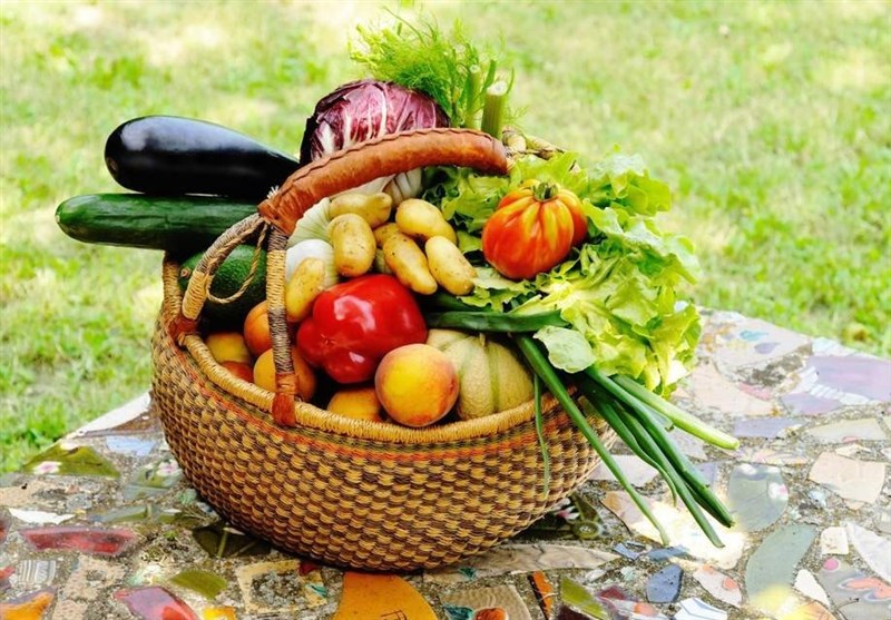 خطر آلودگی سبزیجات به مدفوع سگ و گربه/ هشدار به مصرف لبنیات غیرپاستوریزه