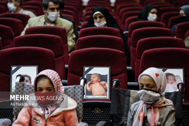 زخم بی‌توجهی بر تن پروانه‌ها
