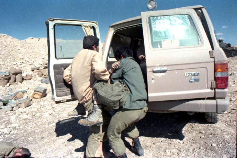 شنی دار، پرستار زره پوش