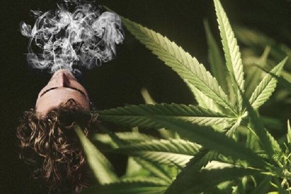 از رویای تمرکز تا جهنم اعتیاد؛ حقیقتی که فضای مجازی پنهان می‌کند