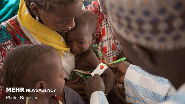 تعداد تلفات ناشی از شیوع تب لاسا در نیجریه به ۱۶۶ نفر رسید