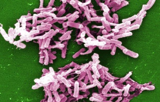 مردانی: فروش بدون نسخه آنتی‌بیوتیک می‌تواند فاجعه‌ساز شود