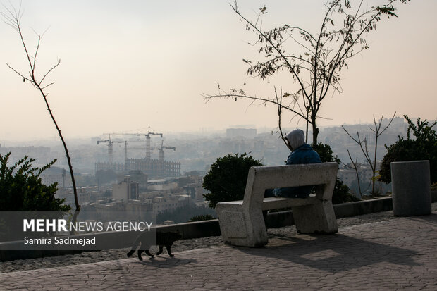 آلودگی هوا سالانه جان هفت میلیون نفر را در جهان می‌گیرد