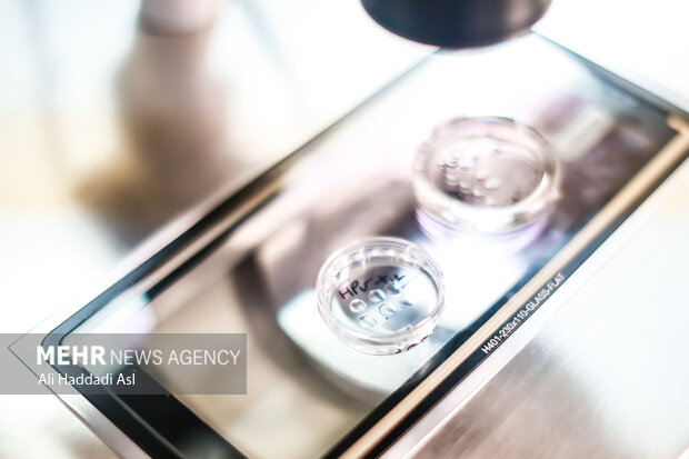 فریز جنین چیست و برای چه کسانی توصیه میشود؟